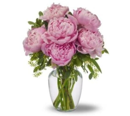 Peonies in a vase 