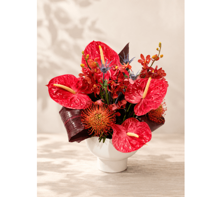 Tropical Passion Bloom