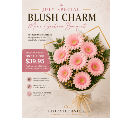 Blush Charm  (Pink Mini Gerbera Bouquet)