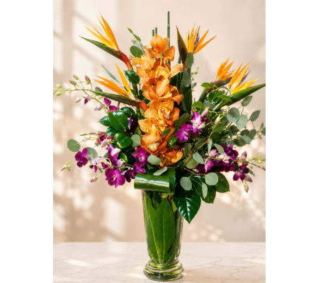 Orchid & Bird of Paradise Bliss