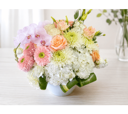 Peach & Orchid Dream