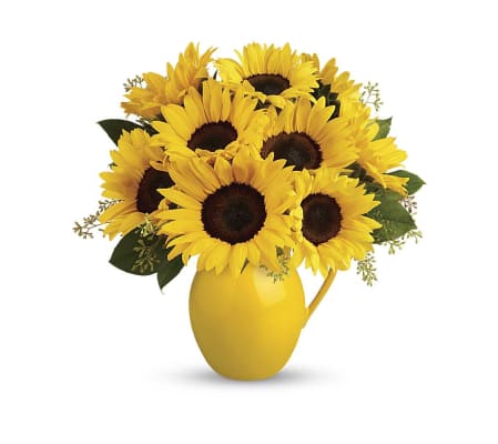 Teleflora Sunny Day Pitcher of Sunflowers