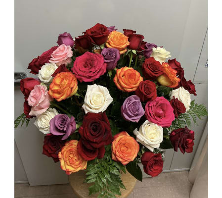 Spectacular Rainbow of Roses