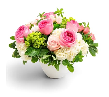 Blush & Bloom