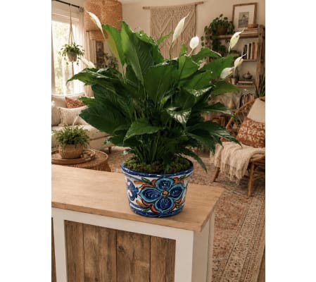 Peace Lily In Hand Painted Terracotta Pot - EXTRA Large Boho