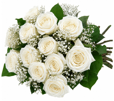Classic White Roses Wrapped