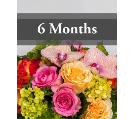 6 Month Flower Subscription