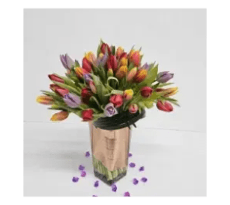Tulips Sensation