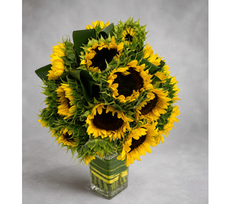 Radiant Sunflowers 