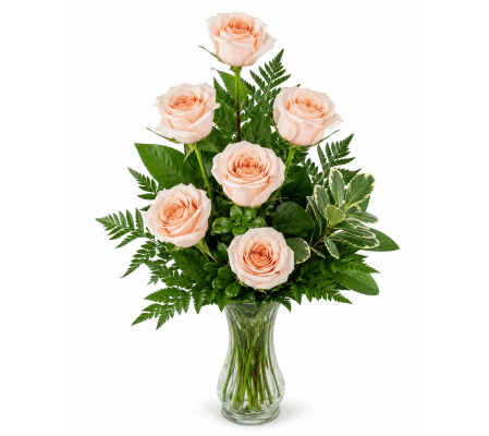 Six Peach Roses