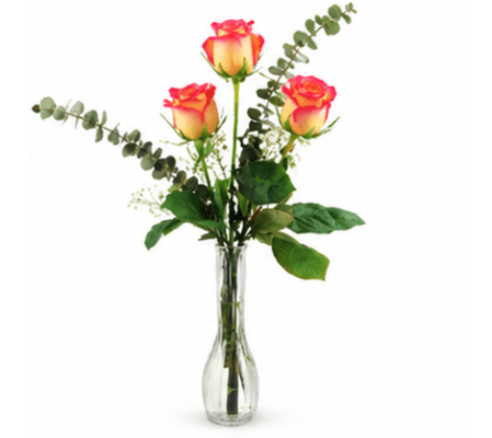 Three High & Magic Roses