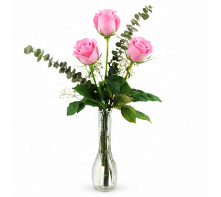 Three Pink Roses