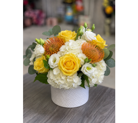 Golden Glow & White Whisper