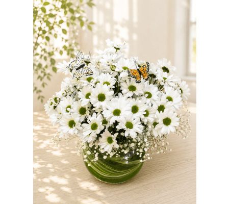 Daisies in Morning Light