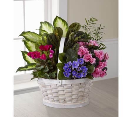 The FTD Peaceful Garden Planter