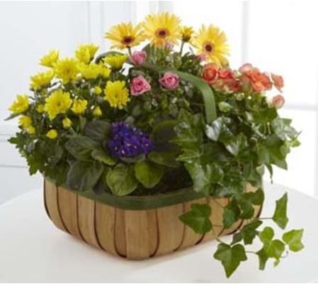 Gentle Blossoms Basket
