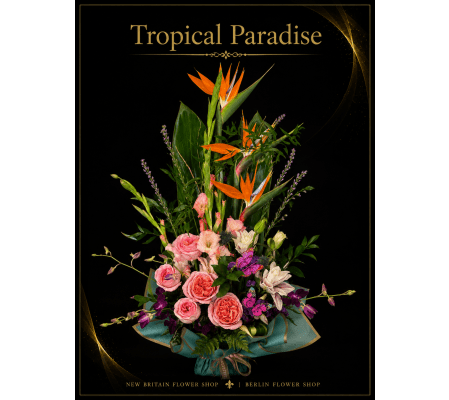 Tropical Paradise
