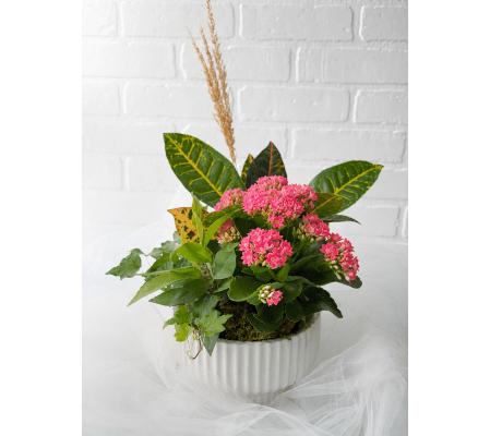 White Tapered Pop of Pink Planter