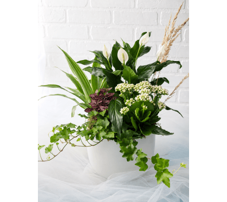 The Green Goddess Planter