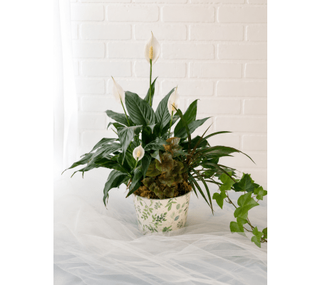 Garden Poetry Mixed Planter