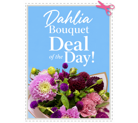 Dahlia Bouquet Deal of the Day