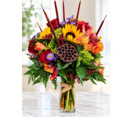 FALL WONDER