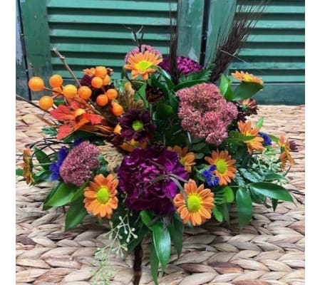 Sunset Autumn Meadow