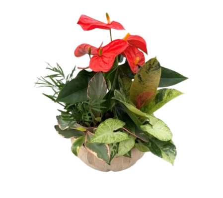 Tropical Autumn Planter