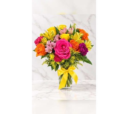 Rainbow Joy Blooms