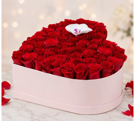 THE LOVE ME MORE BOX