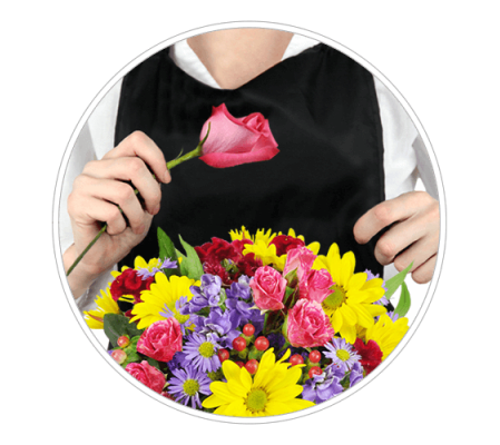 Florist's Choice Daily Deal