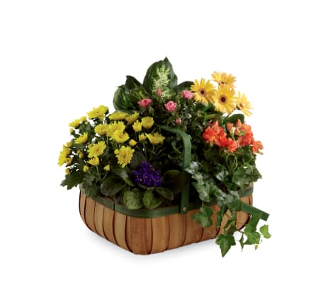 The FTD® Gentle Blossoms™ Basket