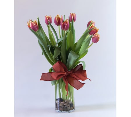 Valley of Tulips