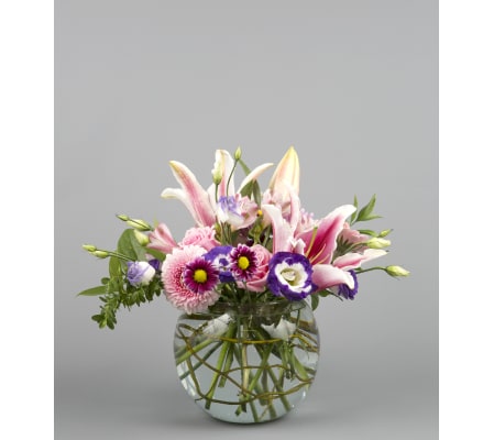 Lily Love