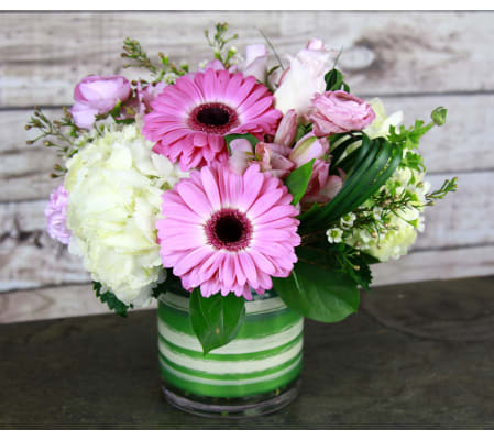 Pink Pizzazz