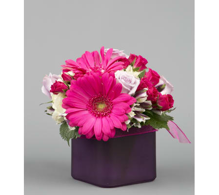 Joyful Pink