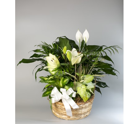 Euro Basket with Lilies