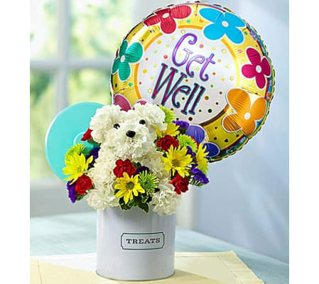 a-DOG-able® in Treats Canister - Get Well