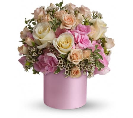 Teleflora's Blushing Beauty