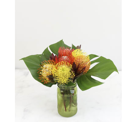 Tropical Simplicity