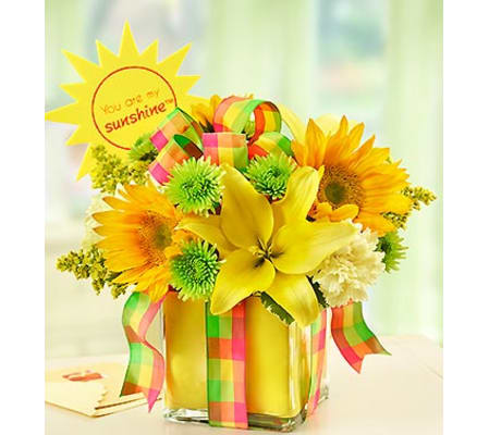 All Wrapped Up™ - Yellow