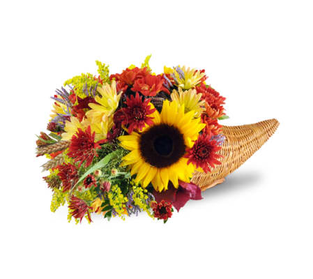Autumn Plenty Cornucopia™