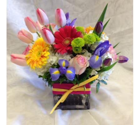 spring wishes