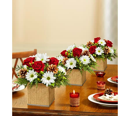 Colors of Christmas Centerpiece