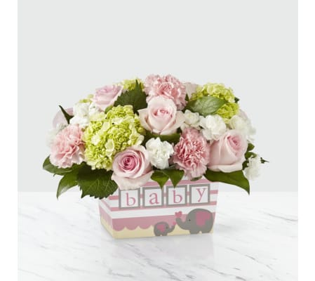 Darling Baby Girl by FTD