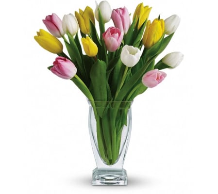 Teleflora's Tulip Treasure