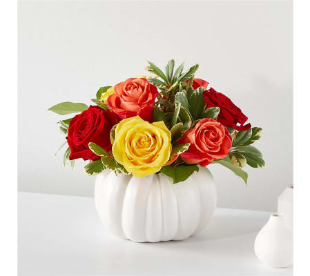 The Gourd of Gratitude 