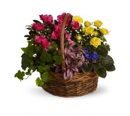 Blooming Garden Basket