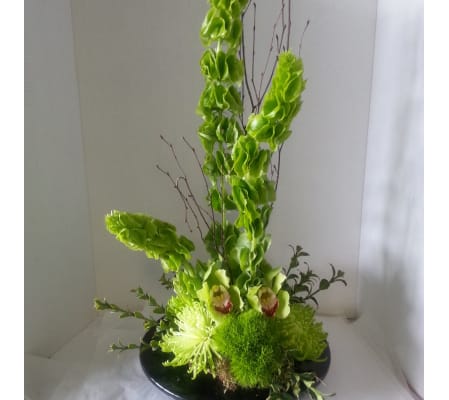 Green Impression
