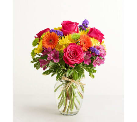 The Fields of Europe® Celebration
